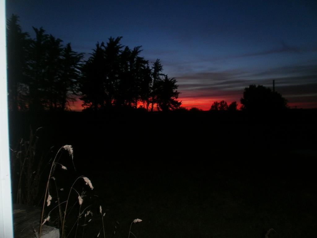 Gites Du Manoir Runan Bagian luar foto